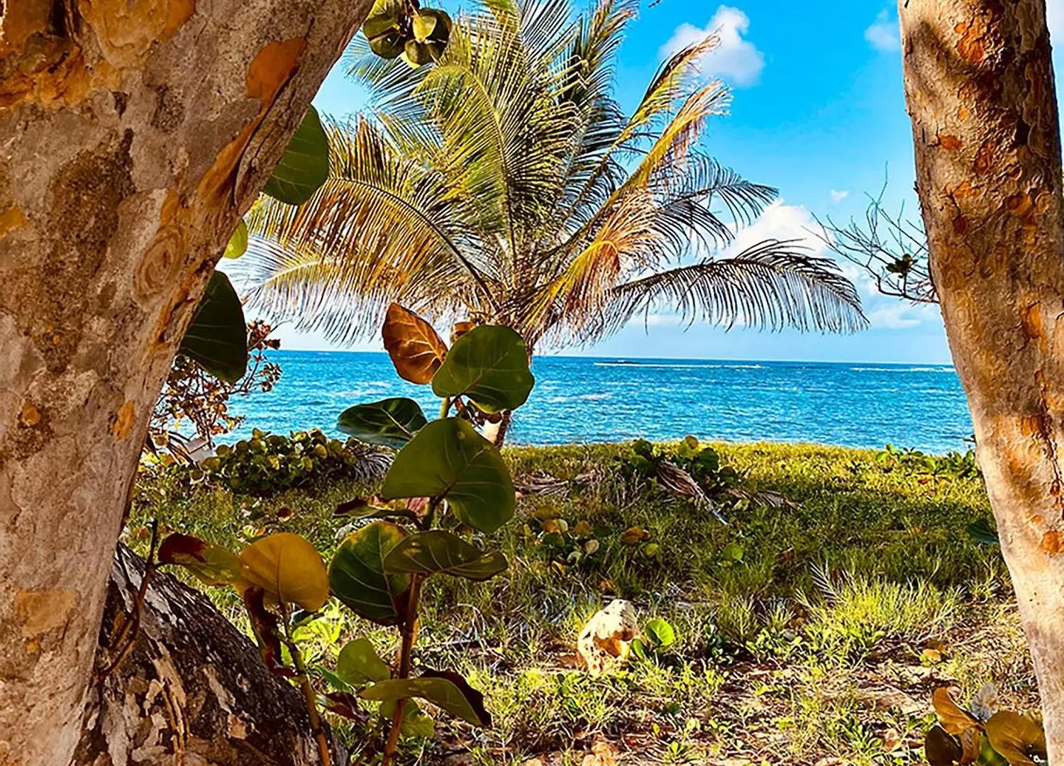 Swilodge Vue Sur Mer ! Petit Dejeuner Et Location De Voiture Possible Le Moule 0*,
